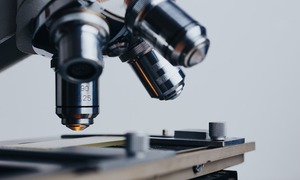 Nowy typ komórek T szansą na uniwersalną terapię wielu nowotworów