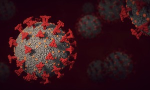 Pierwsze badania kliniczne Pfizer i BioNTech nad szczepionką przeciwko COVID-19