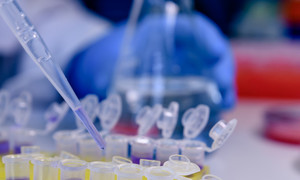 Mabion podpisał list intencyjny na prace nad produkcją leku przeciwko COVID-19