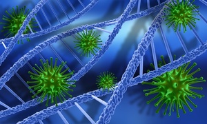 Struktura RNA genomu koronawirusa SARS-CoV-2 szczegółowo zbadana