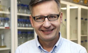 Skąd się biorą ogony w mRNA koronawirusa?