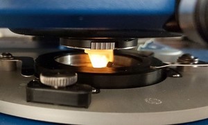 Badania mechaniki komórek czynią chemioterapię bardziej przyjazną