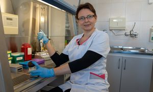 Nowa metoda diagnozowania przewlekłej białaczki limfocytowej opracowana w Uniwersyteckim Sz