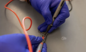 Biohybrydowy implant do produkcji leków wewnątrz organizmu