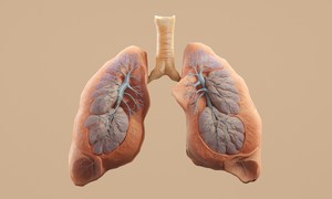 Nowy etap transplantacji narządów u osób żyjących z HIV