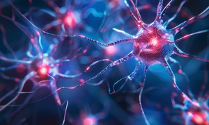 Karyoptoza – nowy mechanizm śmierci neuronów. Jakie może mieć znaczenie w chorobie Alzheime