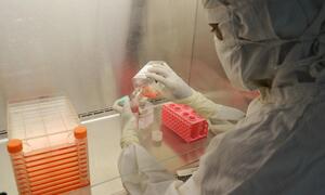 EMBL w Polsce – Instytut Nenckiego gości naukowców z całej Europy