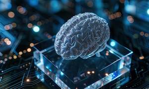 QVITI rozwija zintegrowany ekosystem neuroterapii i rozważa debiut na NewConnect