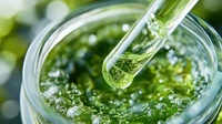 SZKOLENIE ONLINE | Projektowanie kosmetyku z surowcami biofermentowanymi