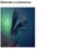 KELP SEA EXTRACT - LISTOWNICA (ekstrakt wodno-glikolowy)