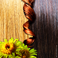 INULA HC