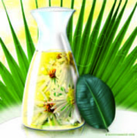 SEA STARWORT OIL