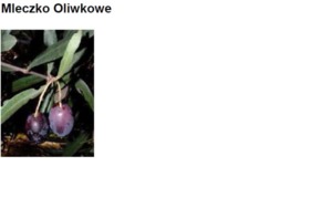 OLIVE MILK - OLIWKA (mleczko)