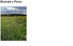 QUACKGRASS HLG MS - PERZ (ekstrakt glicerynowo-wodny)