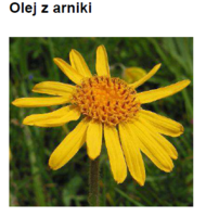 ARNICA OIL - ARNIKA GÓRSKA (olej)