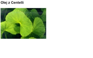 ASIATIC CENTELLA OIL  - CENTELLA AZJATYCKA (olej)
