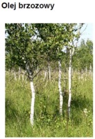 BIRCH OIL - BRZOZA BIAŁA (olej)