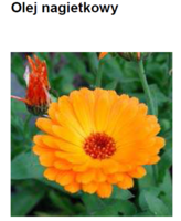 CALENDULA OIL - NAGIETEK (olej)
