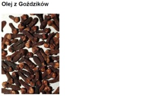 CLOVE OIL - GOŹDZIK (olej)