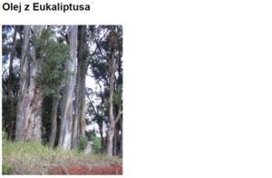 EUCALYPTUS OIL - EUKALIPTUS (olej)
