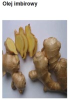 GINGER OIL - IMBIR (olej)