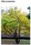HAMAMELIS OIL - OCZAR (olej)
