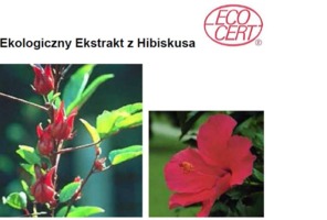 HIBISCUS ECO - HIBISKUS (ekstrakt ekologiczny)