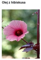 HIBISCUS OIL - BIBISKUS (olej)