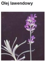 LAVENDER OIL - LAWENDA (olej)