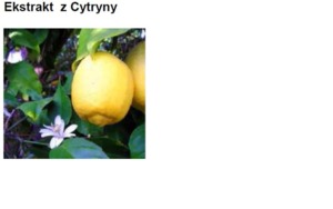 LEMON (FRUIT) EXTRACT H.GL.-MS - CYTRYNA (ekstrakt glicerynowo-wodny)
