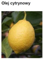 LEMON OIL - CYTRYNA (olej)