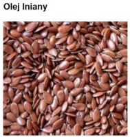 LINSEED OIL - LEN (olej zimnotłoczony)
