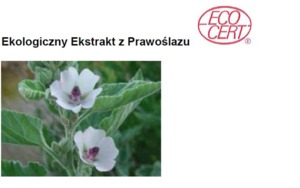 MARSHMALLOW ECO - PRAWOŚLAZ (ekstrakt ekologiczny)