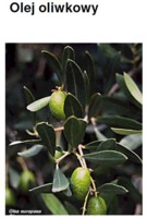MEDITERRANEAN OIL - oliwka olej