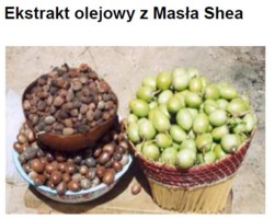 SHEA BUTTER OIL 