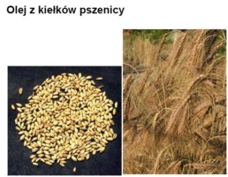 WHEAT GERM OIL - KIEŁKI PSZENICY (olej zimnotłoczony)