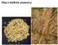 WHEAT GERM OIL - KIEŁKI PSZENICY (olej zimnotłoczony)