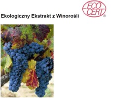RED VINE-ECO - WINOROŚL (ekstrakt ekologiczny)