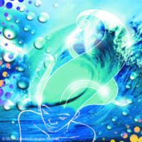 BIOENERGIZER P BG PF