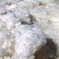 SEL GRAIN
