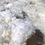 SEL GRAIN