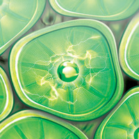 BIOPLASMA FA