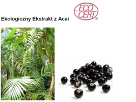 ACAI ECO - JAGODY ACAI (ekstrakt ekologiczny)