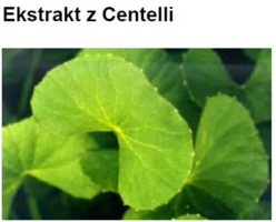 ASIATIC CENTELLA EXTRACT H.GL.-M.S. - CENTELLA AZJATYCKA (ekstrakt glicerynowo-wodny)