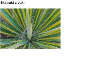 YUCCA EXTRACT H.GL.- MS - JUKA (ekstrakt glicerynowo-wodny)