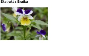WILD PANSY EXTRACT H.GL MS - BRATEK (ekstrakt glicerynowo-wodny)
