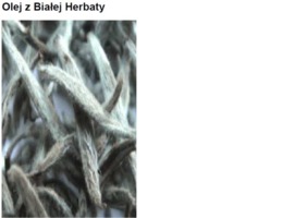 WHITE TEA OIL - BIAŁA HERBATA (olej)