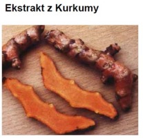 TURMERIC  EXTRACT HGL.MS - KURKUMA (ekstrakt glicerynowo-wodny)