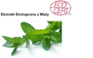 MINT ECO - MIĘTA PIEPRZOWA (ekstrakt ekologiczny)