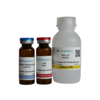 Metakrylowany alginian ALGMA (100mg), fotoinicjator LAP 405 (100mg), PBS (100ml)